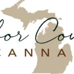 Store – gallery image 4