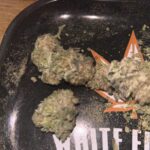 Store – gallery image 5