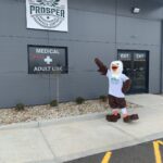 Store – gallery image 3