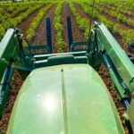 Store – gallery image 5