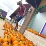 Store – gallery image 3