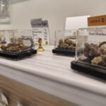 Store – gallery image 2