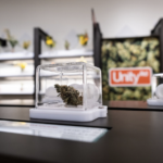 Store – gallery image 2