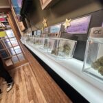 Store – gallery image 2