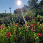 Store – gallery image 5