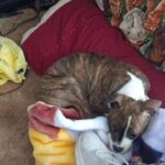 Store – gallery image 3