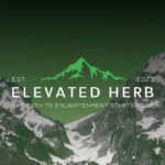 Store – gallery image 2