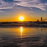 Store – gallery image 3