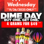 Store – gallery image 5