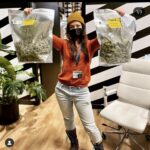 Store – gallery image 3