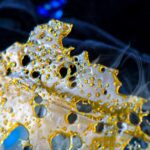 Store – gallery image 4