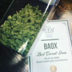 Store – gallery image 5