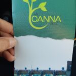 Store – gallery image 5