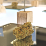 Store – gallery image 3