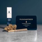 Store – gallery image 3