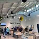 Store – gallery image 5