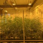 Store – gallery image 5