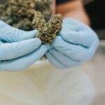 Store – gallery image 5