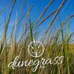 Store – gallery image 2