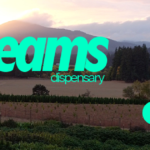 Store – gallery image 2