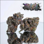 Store – gallery image 5