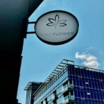 Store – gallery image 1