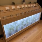 Store – gallery image 5