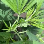 Store – gallery image 4