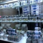 Store – gallery image 5