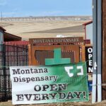 Store – gallery image 5