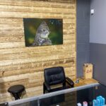 Store – gallery image 3