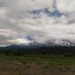 Store – gallery image 4