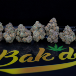 Store – gallery image 4