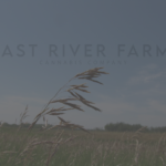 Store – gallery image 2