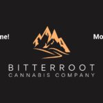 Store – gallery image 2