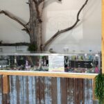 Store – gallery image 3