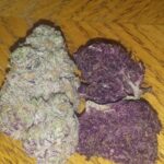 Store – gallery image 4