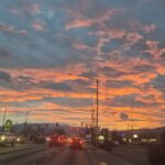 Store – gallery image 2