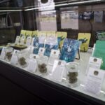 Store – gallery image 2