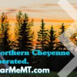 Store – gallery image 4