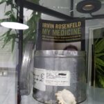 Store – gallery image 4