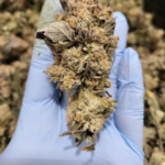 Store – gallery image 4