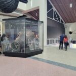 Store – gallery image 1