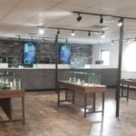 Store – gallery image 5