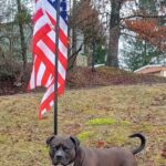 Store – gallery image 3