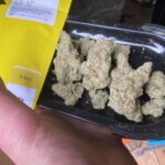 Store – gallery image 4