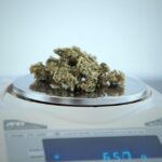 Store – gallery image 3