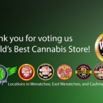 Store – gallery image 4