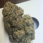 Store – gallery image 5