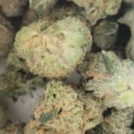 Store – gallery image 4